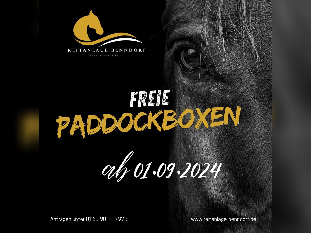 Paddockboxen frei! 