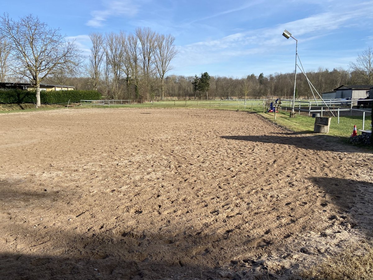 Stall frei, Paddock- Box frei auf familiären Hof, Vollpension