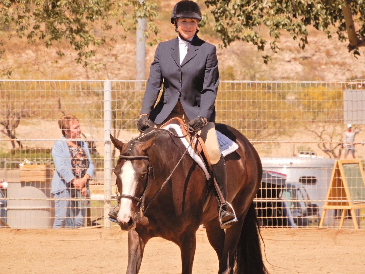Paint-häst Sto 9 år 163 cm Overo-skäck-alla-färger in Glendale, Arizona