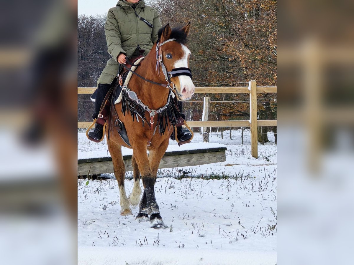 Paint Horse Mestizo Caballo castrado 6 años 150 cm in Linkenbach