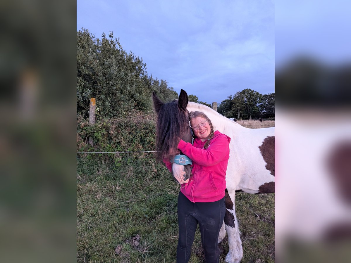 Pferdeverückte Jugendliche sucht Reitbeteiligung 