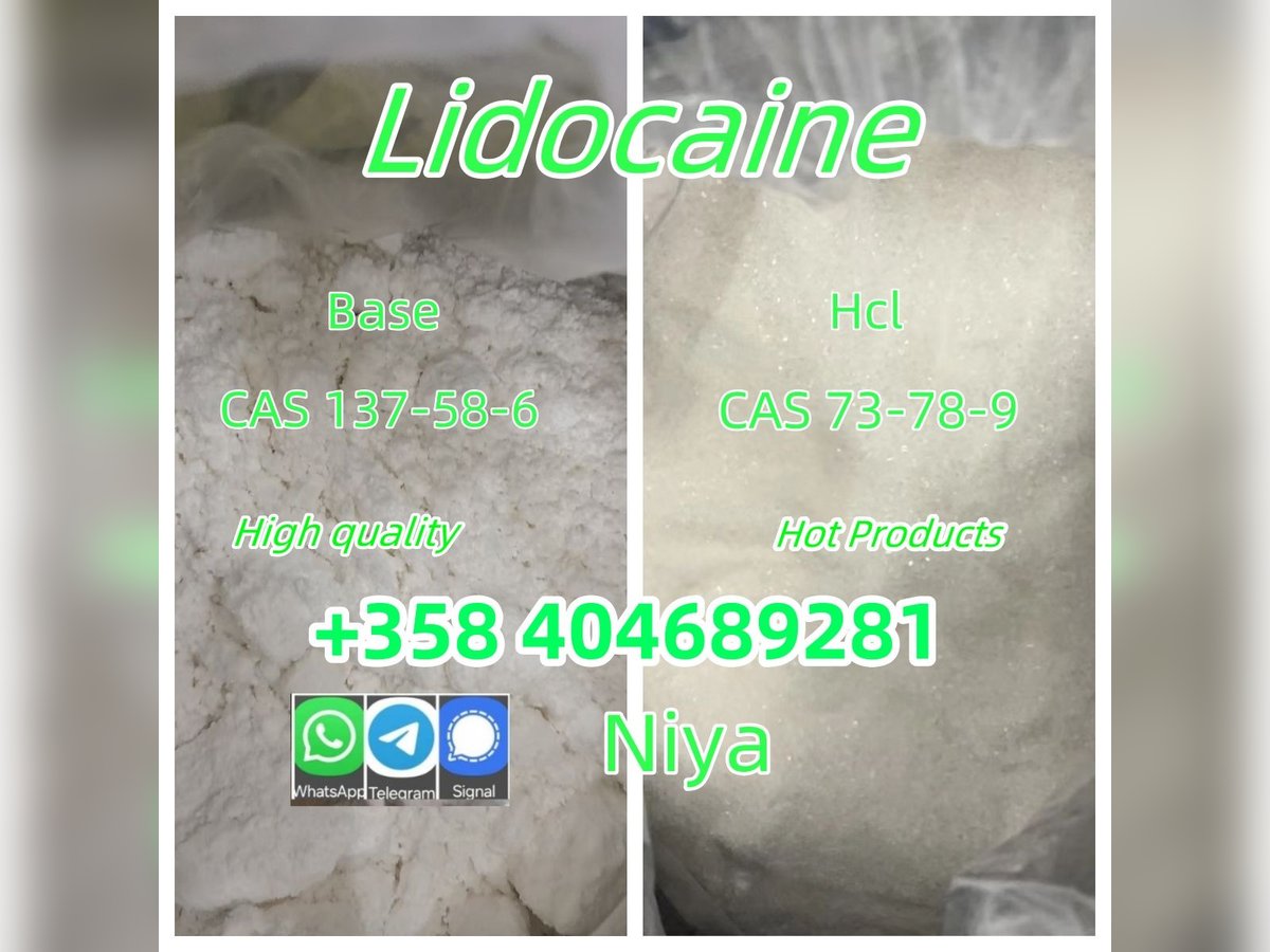 99% Pure Lidocaine Lidocaina Base Powder CAS 137-58-6