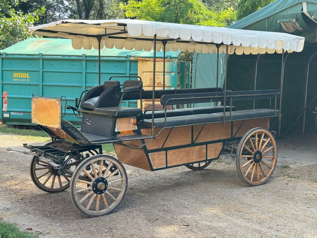 Planwagen / Gesellschaftswagen