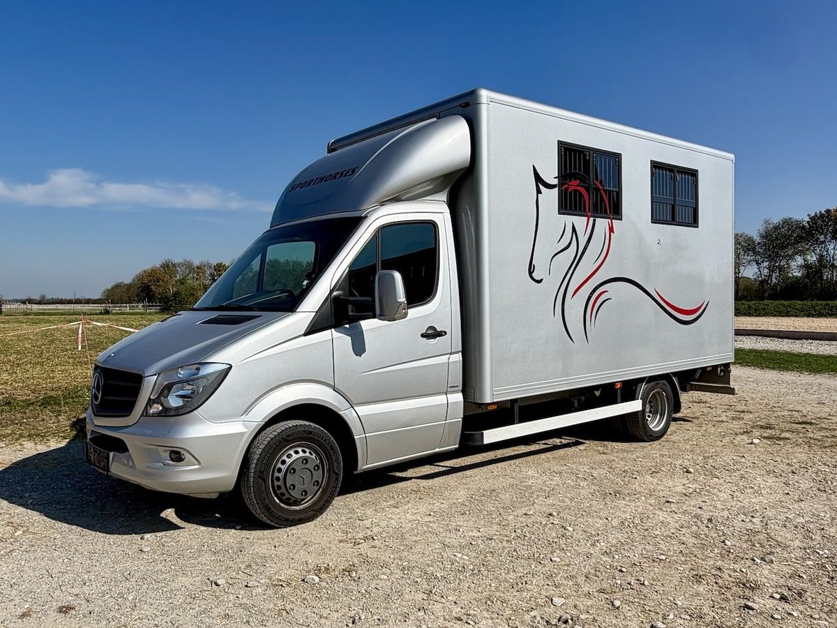 Mercedes-Benz Sprinter trasporto 2 cavalli con stalla e cabina di pilotaggio