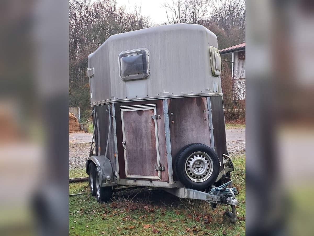 Pferdeanhänger mit Lebenserfahrung und top fit 