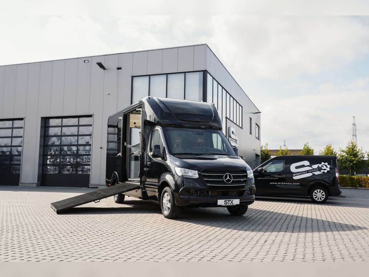 STX 2 Horse – Exclusive Mercedes Sprinter