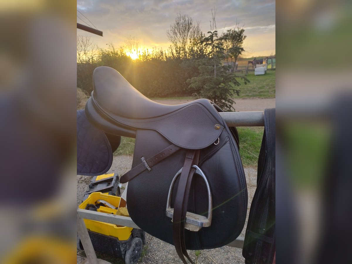 Sella da salto nuova 