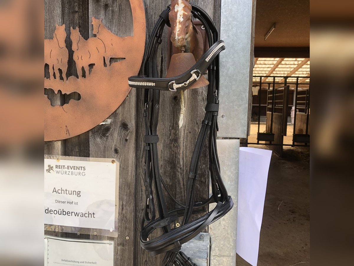 Trense Engl.Kombiniert schwarz mit Straß