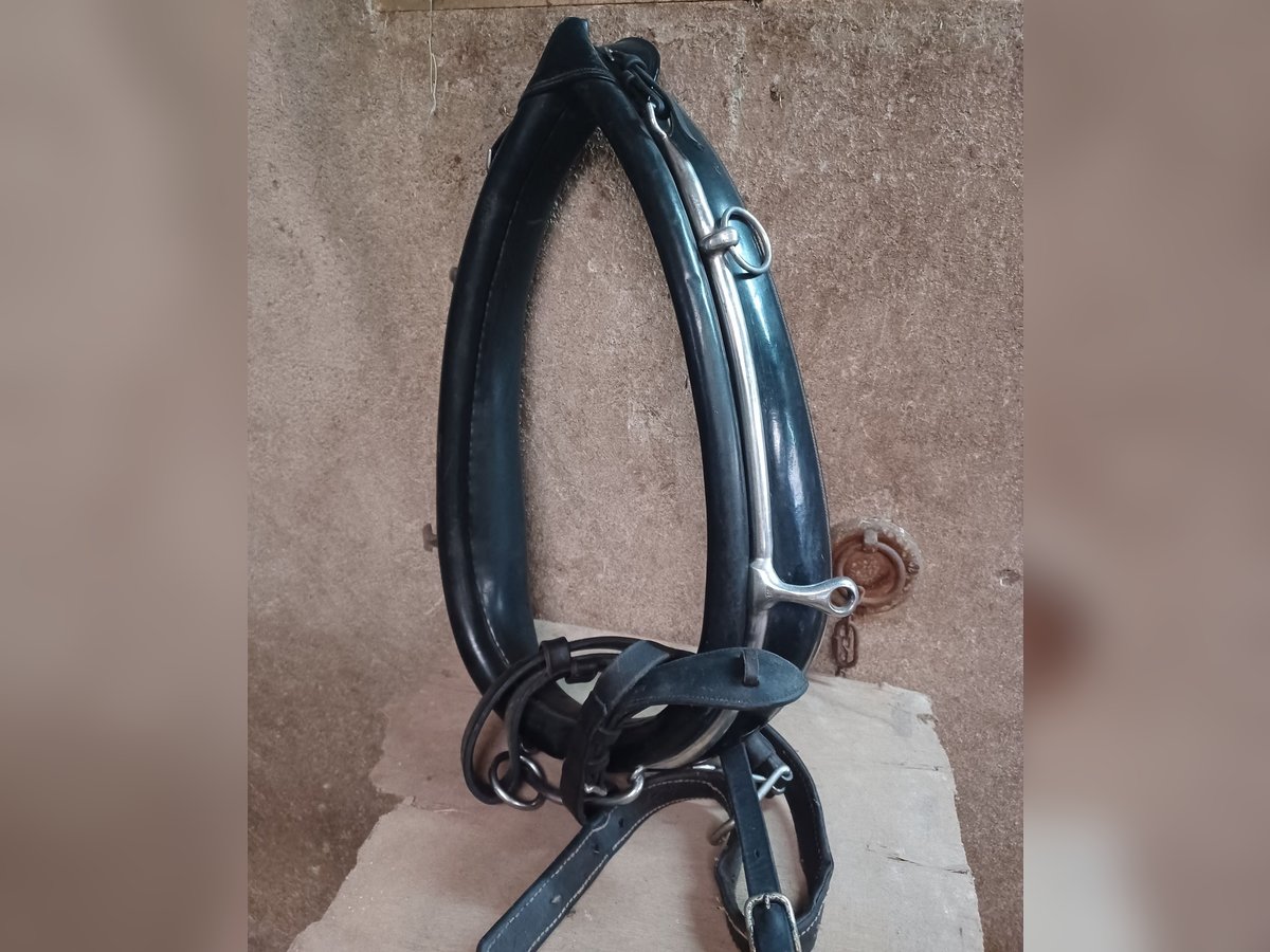 Finimenti Kieffer per attacchi x cavalli