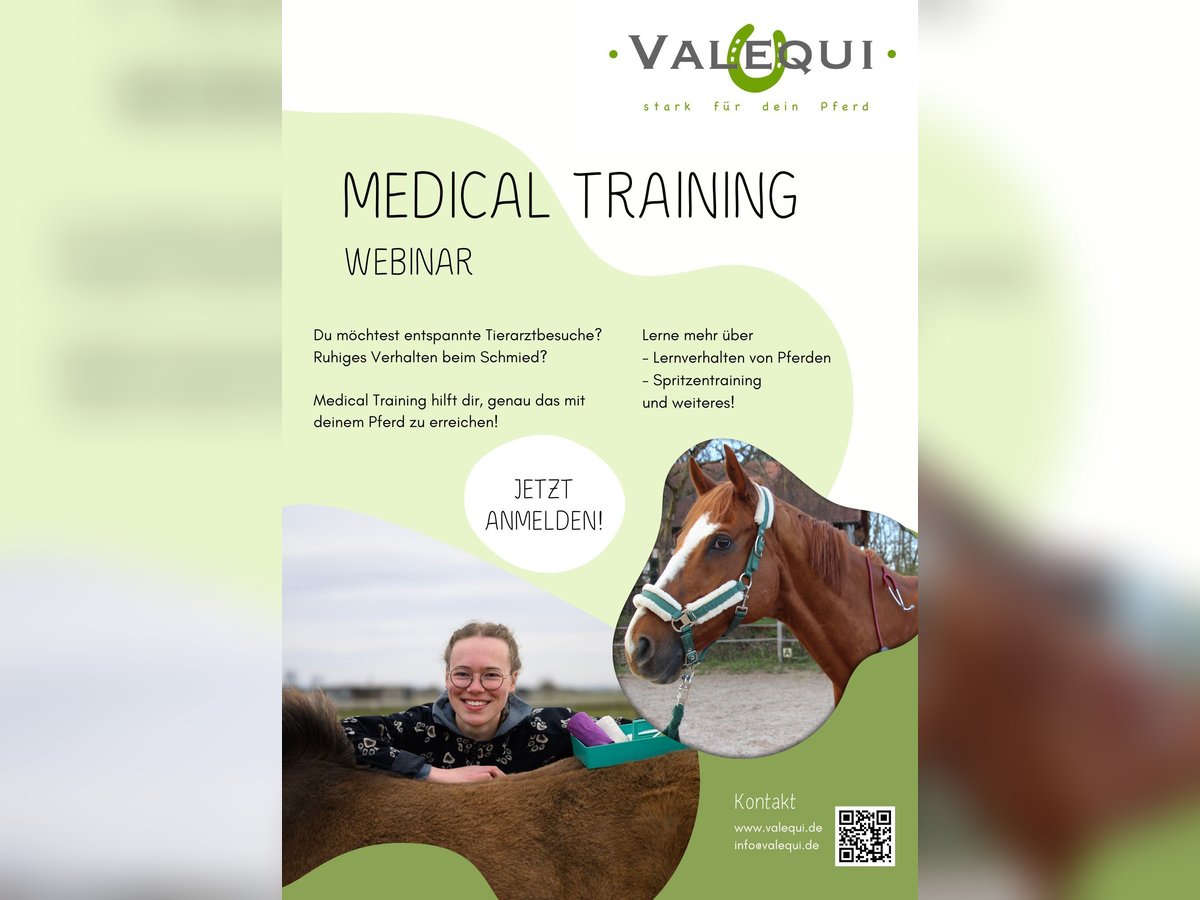 Medical Training Grundlagen (Webinar)