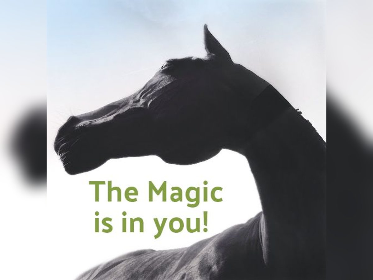 Mobiler Reitunterricht für sensible "Problem"-Pferde Mobiler Reitunterricht für sensible "Problem"-Pferde