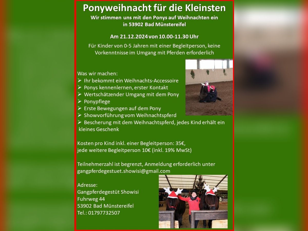 Ponyweihnacht für die Kleinsten