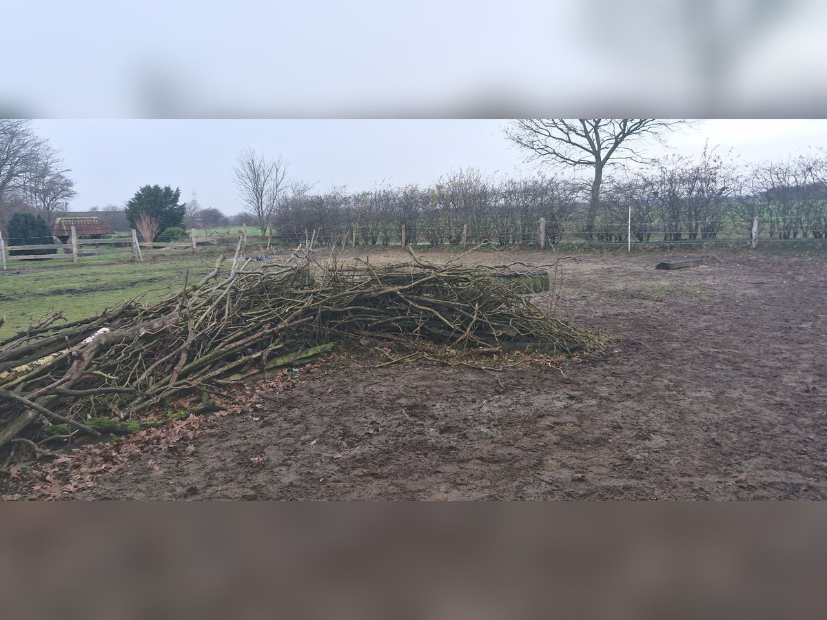 Offenstall für Pony 