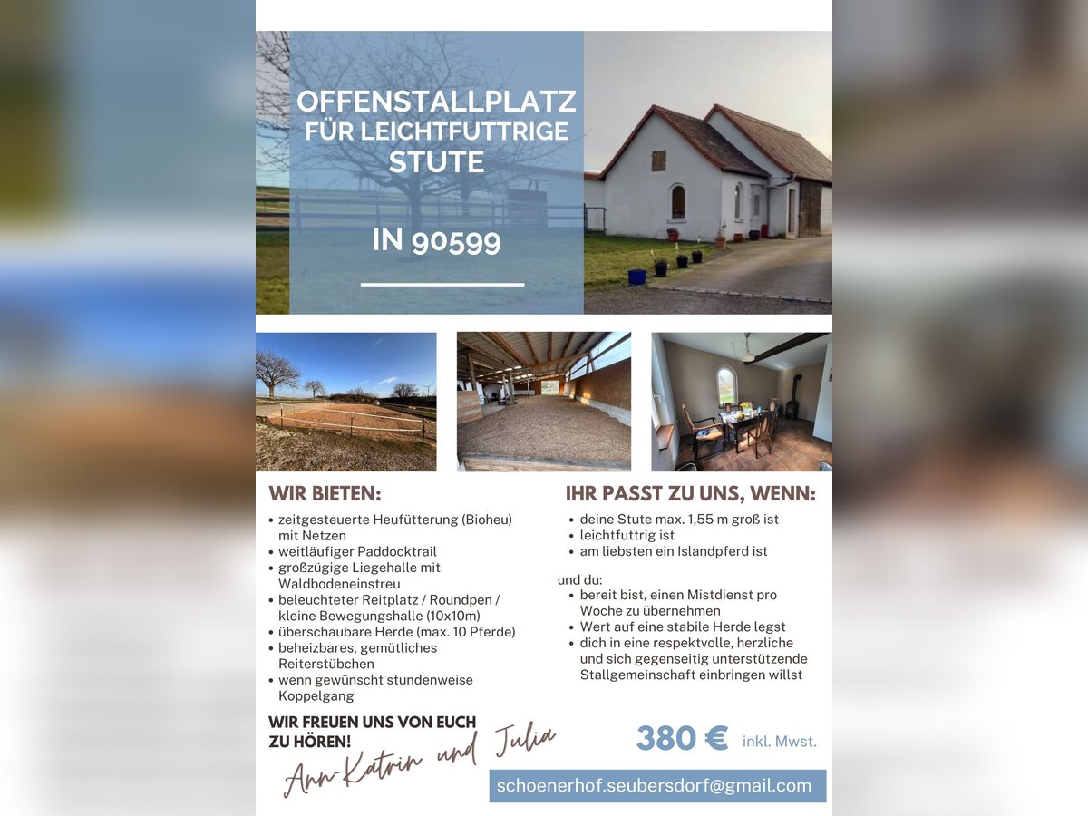 Posto in paddock aperto per femmina di piccola taglia a scarso appetito!