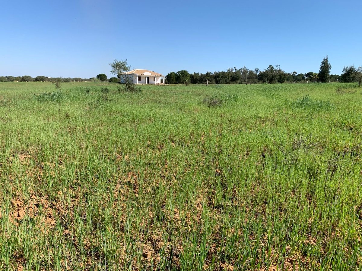 2 Traumgrundstücke ( insgesamt 137.000 qm) in Andalusien/ Almonte