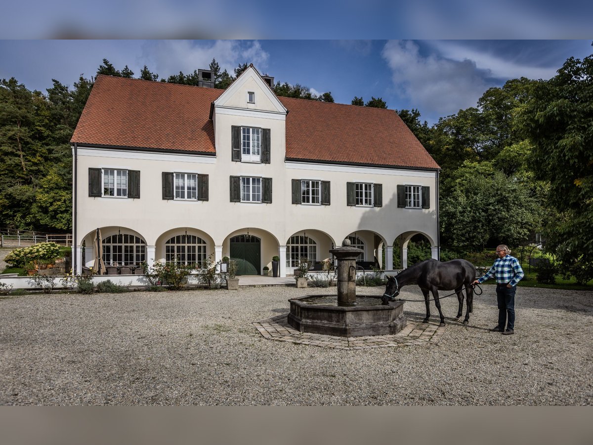 Exklusives Gestüt und Landsitz in Alleinlage mit Wassermühle und 12,4 ha Koppeln und Wald