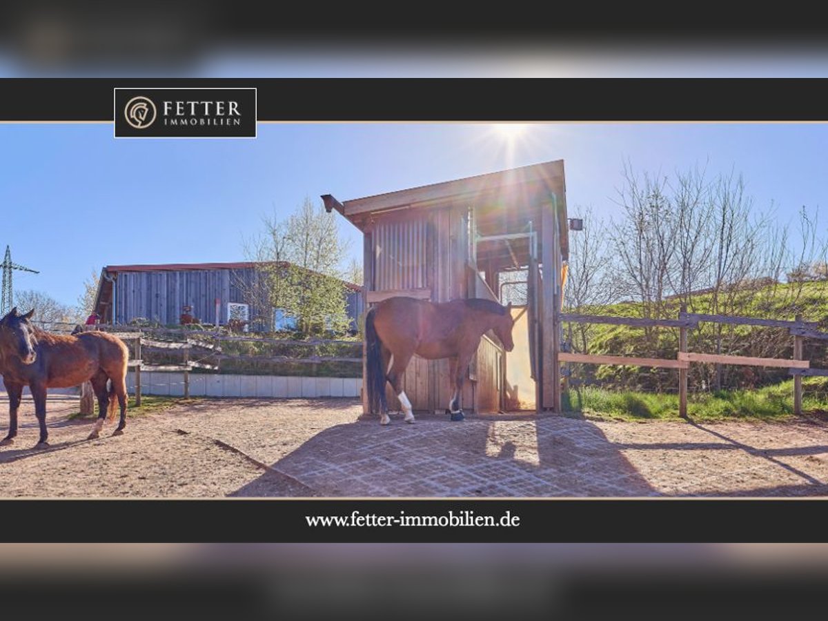 Reitanlage in Rheinland-Pfalz – moderner Aktivstall im Donnersbergkreis!