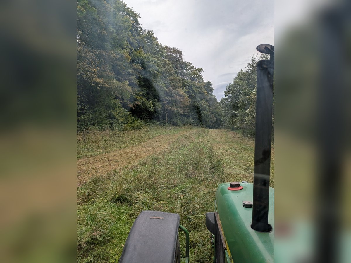 Dienstleistungen für Private Pferdehalter  Dienstleistungen für Private Pferdehalter