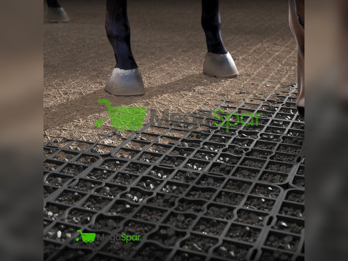 Rasengitter & Paddockplatten - Bodengitter, Kieswaben & Paddockmatten für den Reitplatz | Kiesgitter