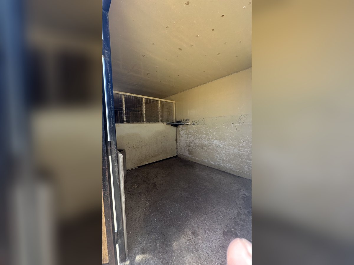Cuadras portátiles con 8 cuadras y guadarnés