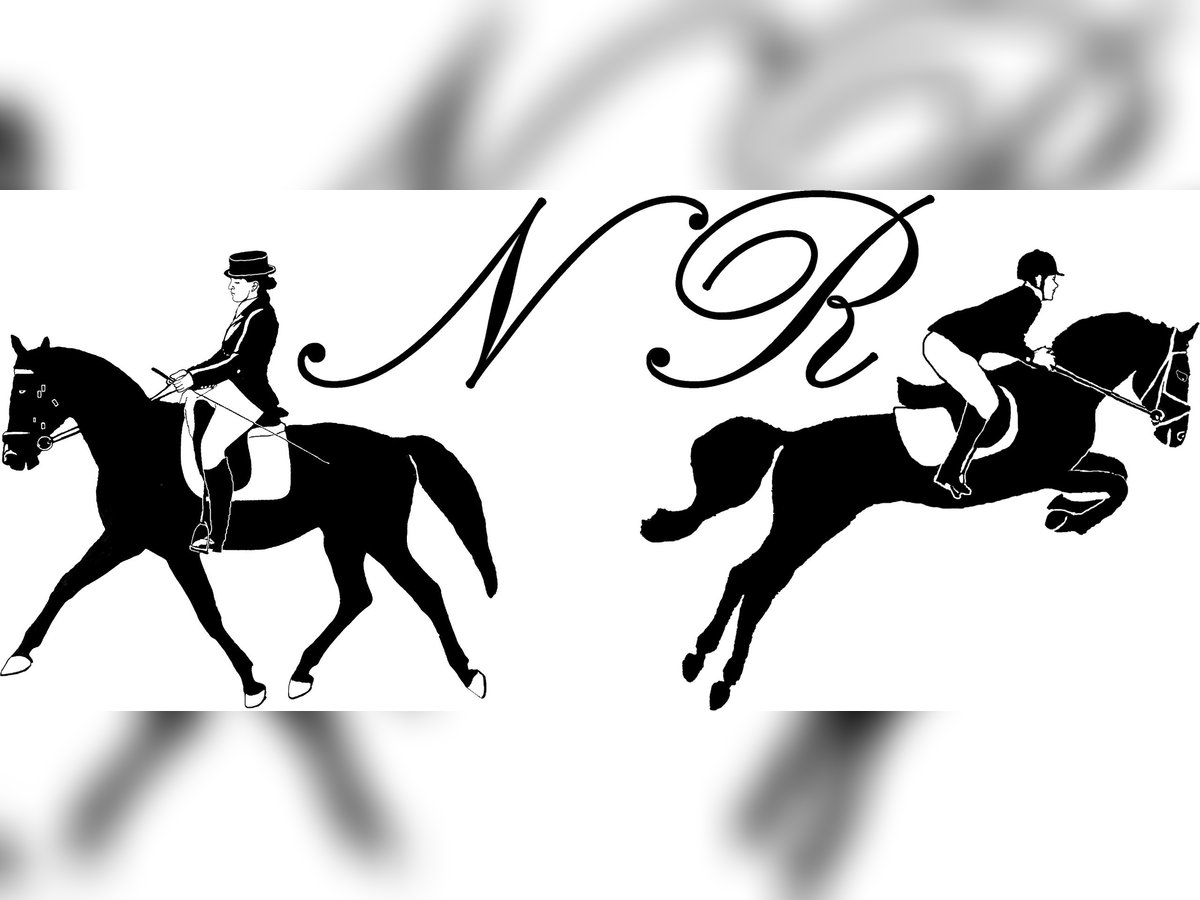 Plus de chevaux à sang chaud Jument 19 Ans Bai in G&#xF6;tzendorf