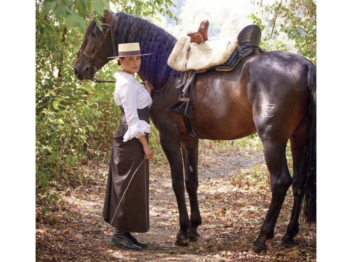 PRE Mestizo Caballo castrado 10 años 165 cm Castaño rojizo in NAVAS DEL MADRONO