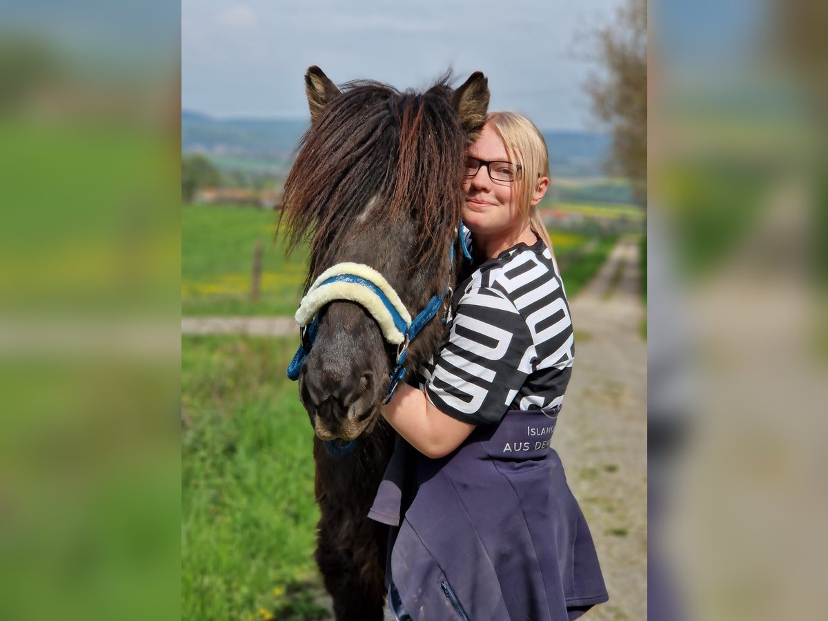 Reitbeteiligung gesucht! (Reiter sucht Pferd)