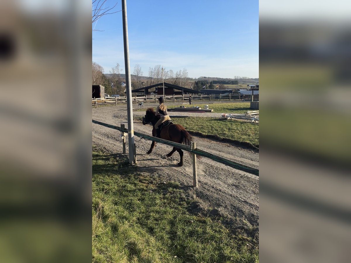 Reitbeteiligung gesucht ( Reiter sucht Pferd ) 