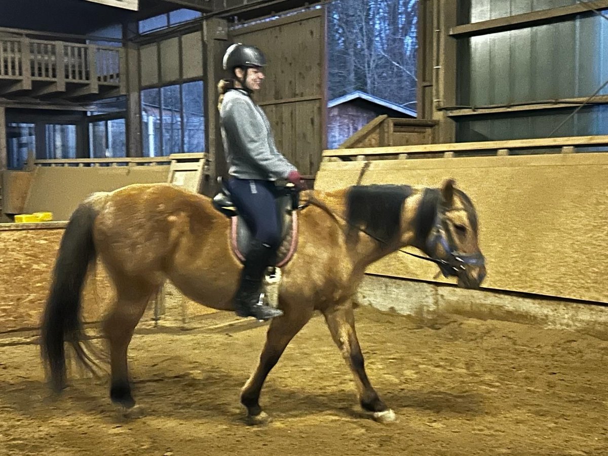 Reitbeteiligung (RsP) Reitbeteiligung (RsP)