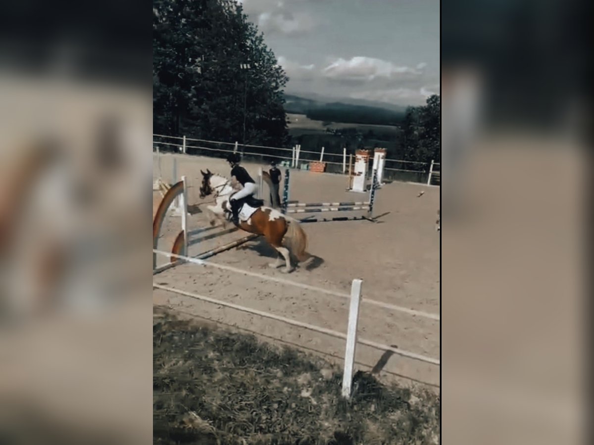 Such eine Reitbeteiligung in meiner nähe