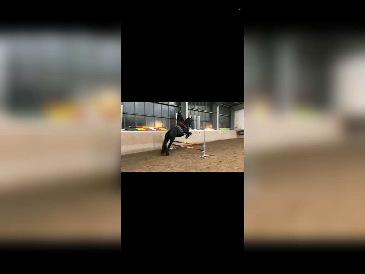 Suche RB für zwei Personen am selben Pferd Suche RB für zwei Personen am selben Pferd