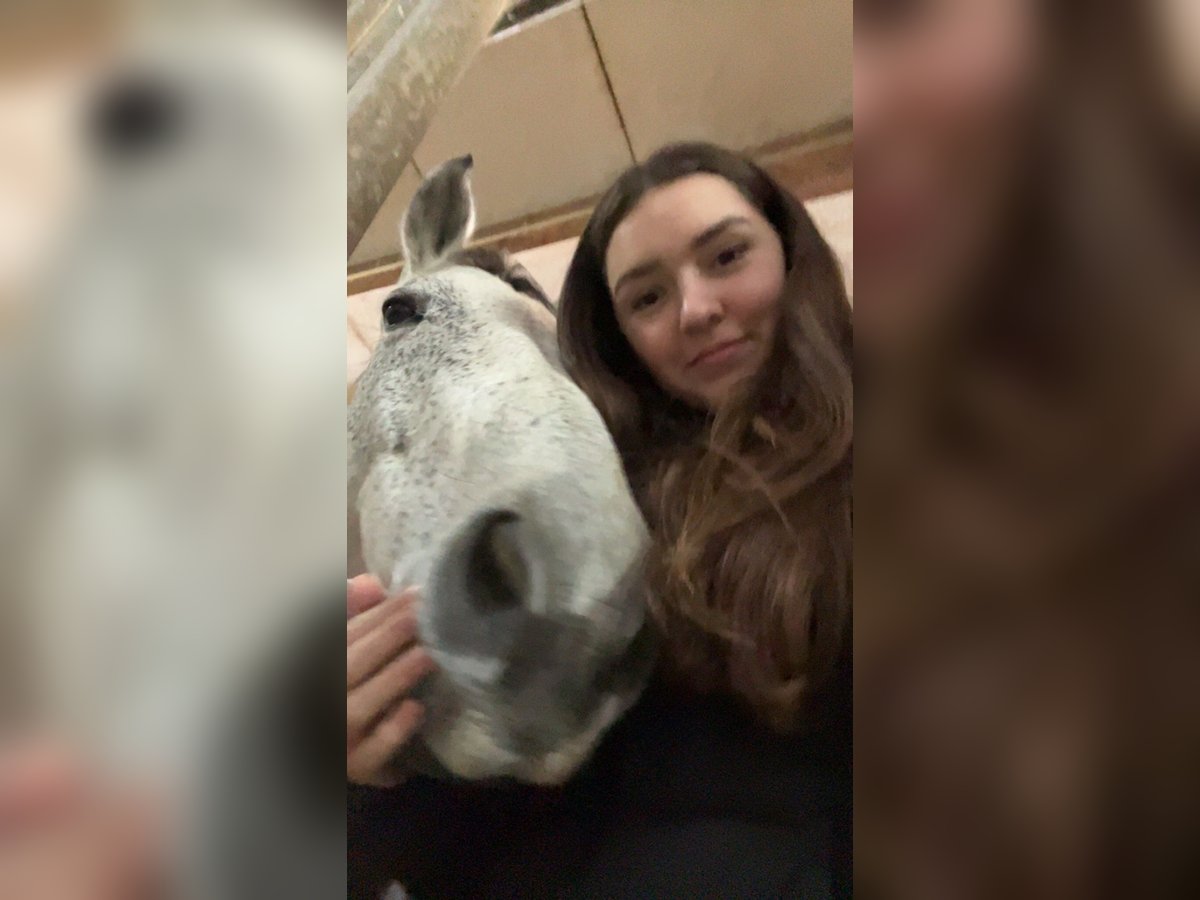 Suche Reitbeteiligung für Turniergänge