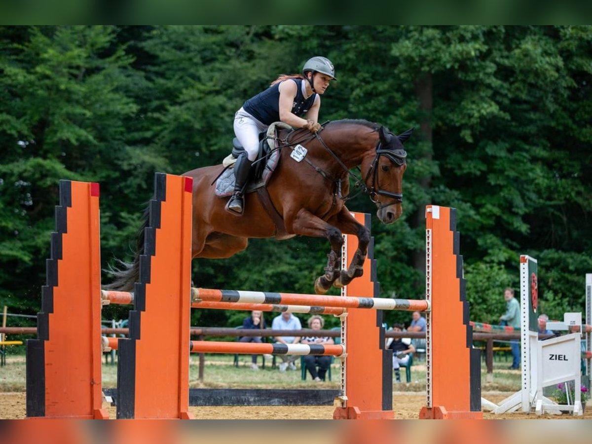 Suche Reitbeteiligung im Umkreis von 71394 Kernen