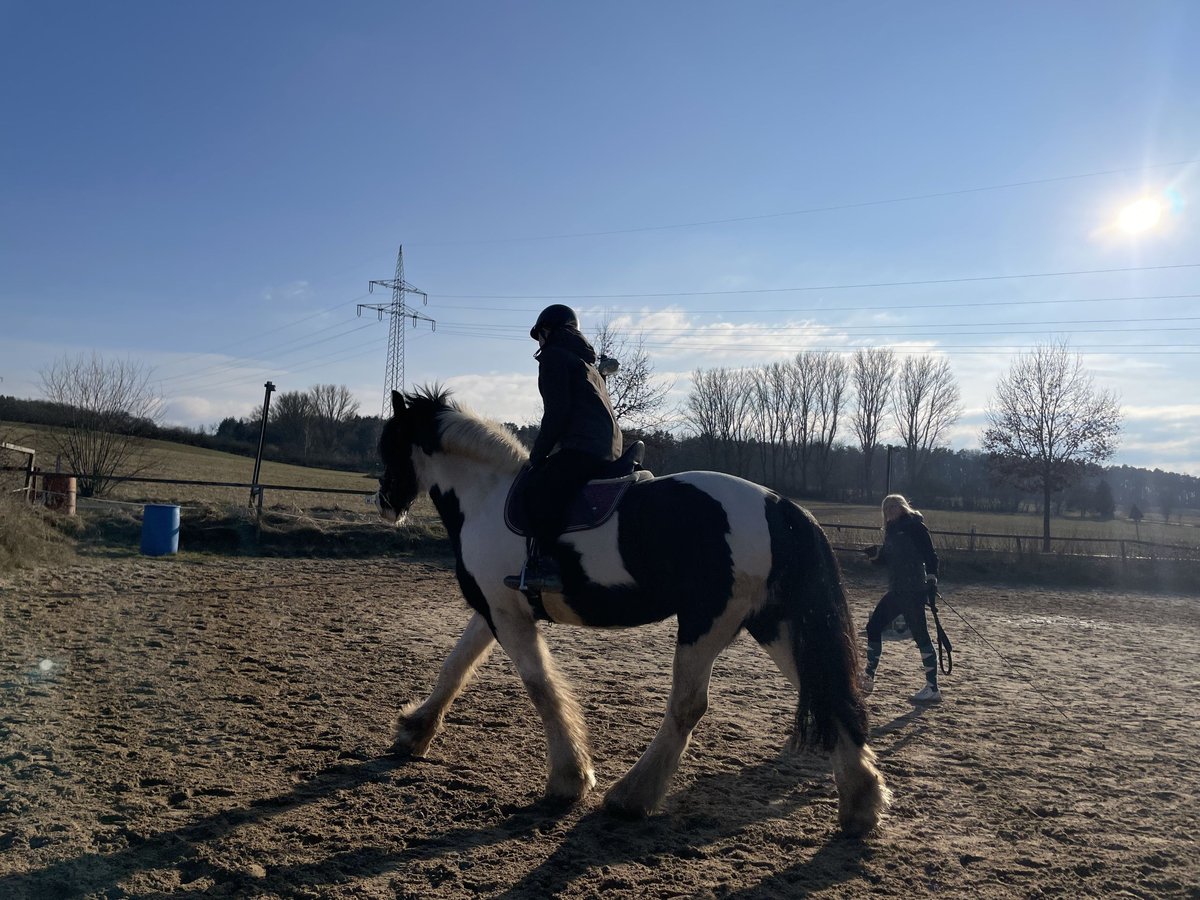 Suche Reitbeteiligung/ privaten Unterricht