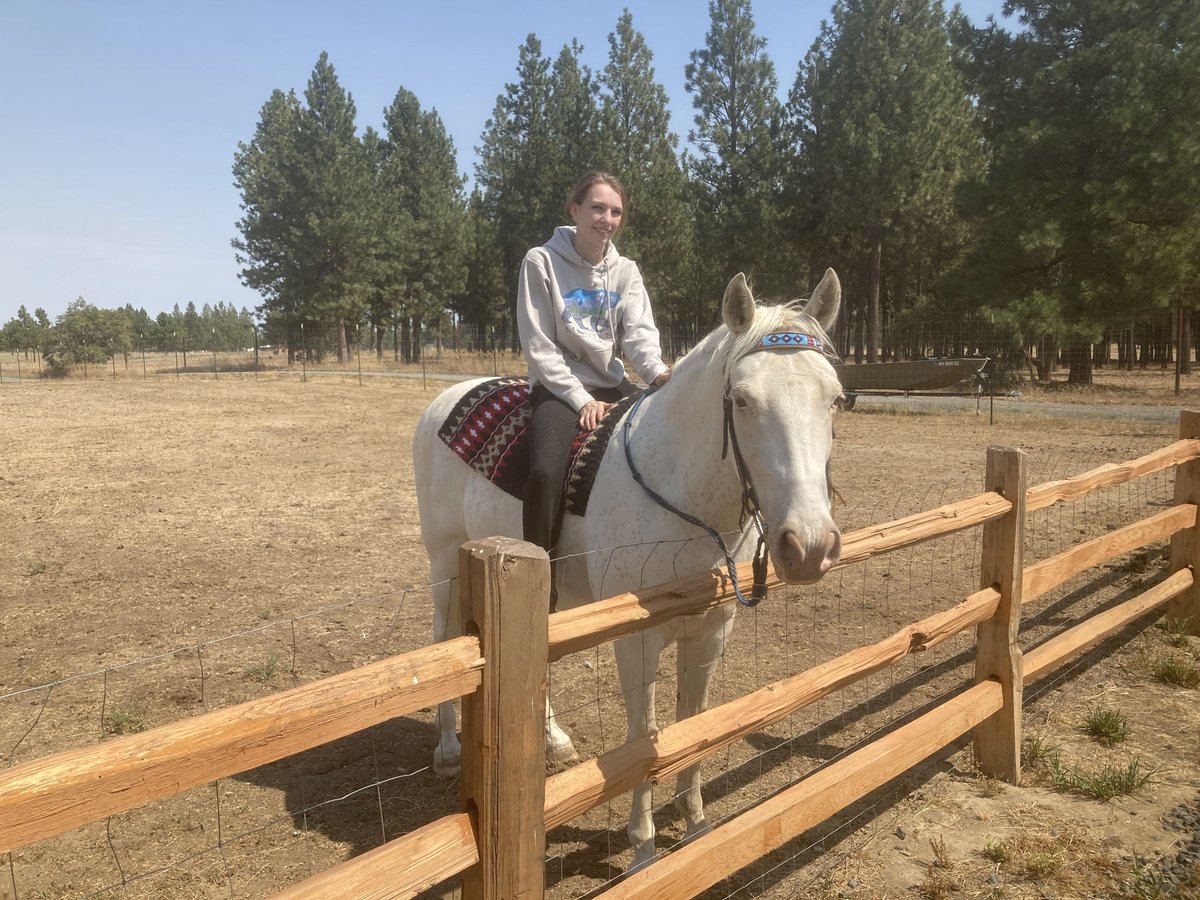 Tennessee walking horse Ruin 15 Jaar 163 cm Wit in Spokane, WA