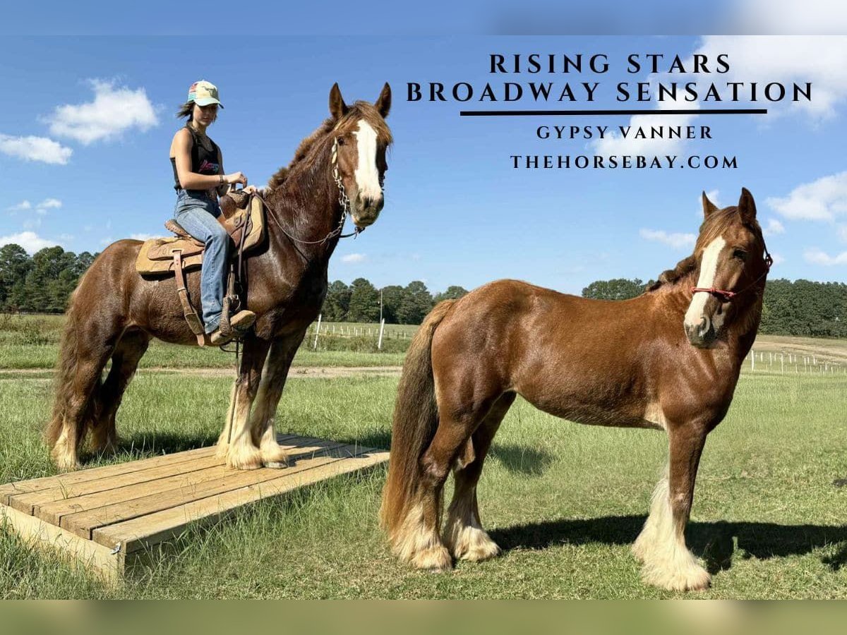 Tinker Jument 5 Ans 142 cm Alezan brûlé in Vincent, AL