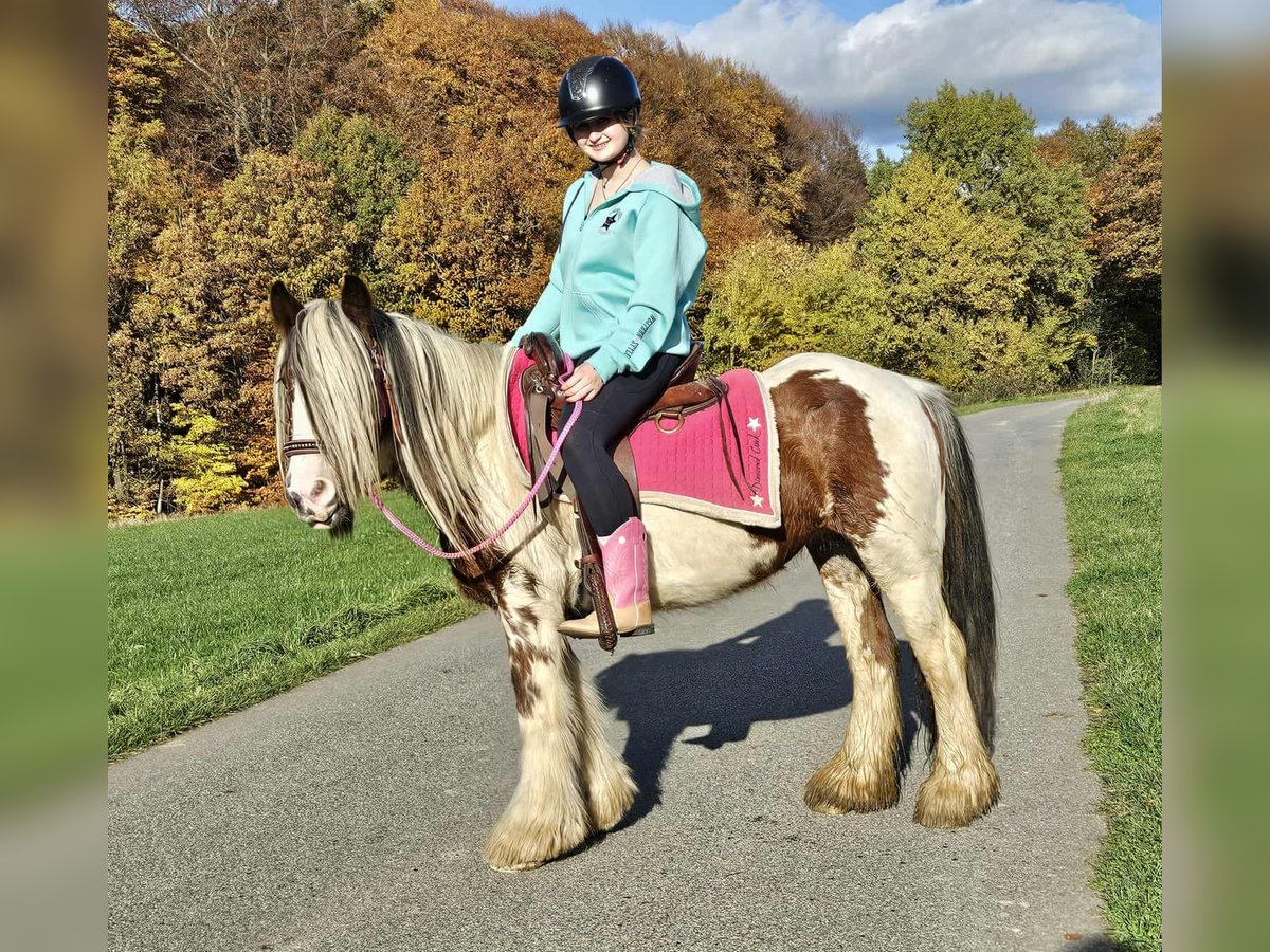Tinker Jument 9 Ans 144 cm Pinto in Linkenbach Tinker Jument 9 Ans 144 cm Pinto in Linkenbach