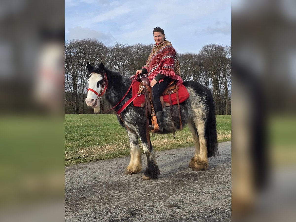 Tinker Klacz 8 lat 137 cm Overo wszelkich maści in Linkenbach