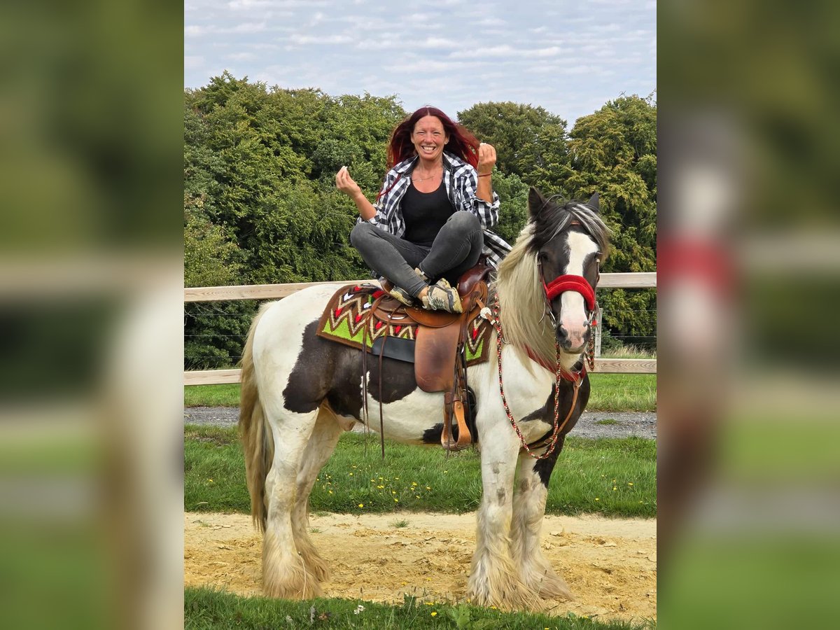 Tinker Ruin 11 Jaar 156 cm Gevlekt-paard in Linkenbach