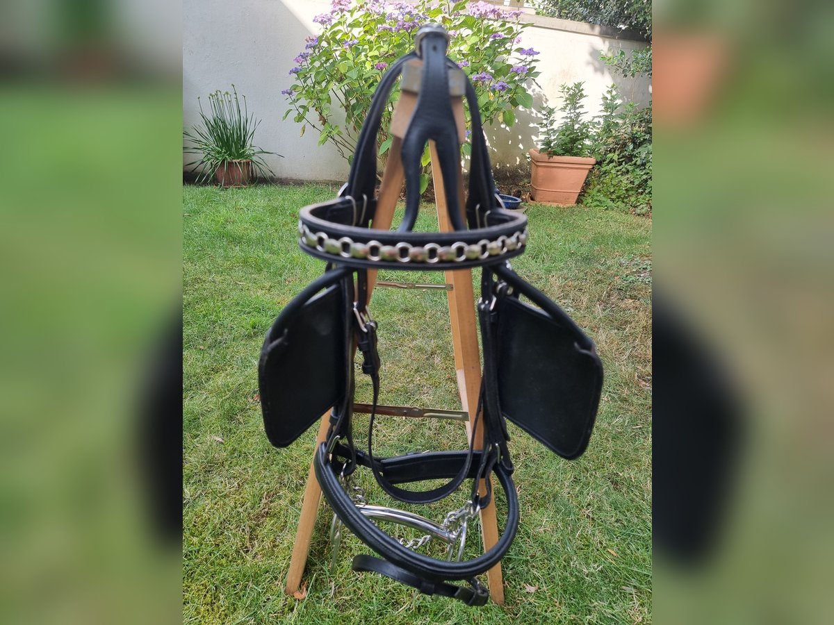 Marathonhauptgestell - Sattlerei Meinecke Warmblut