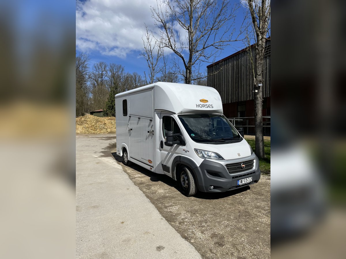 Pferdetransporter Böckmann Fiat Ducato 