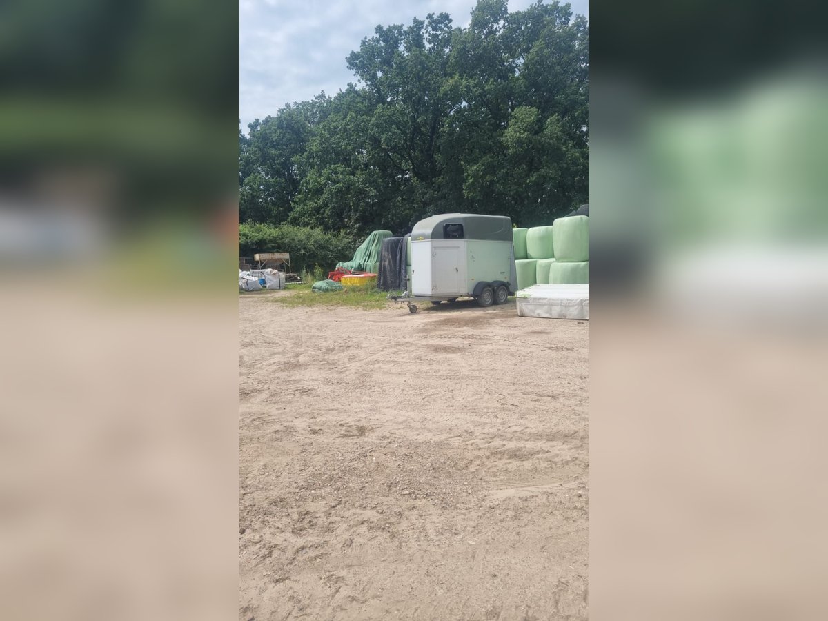 Humbaur Xantos 2er Pferdeanhänger mit Sattelkammer Humbaur Xantos 2er Pferdeanhänger mit Sattelkammer