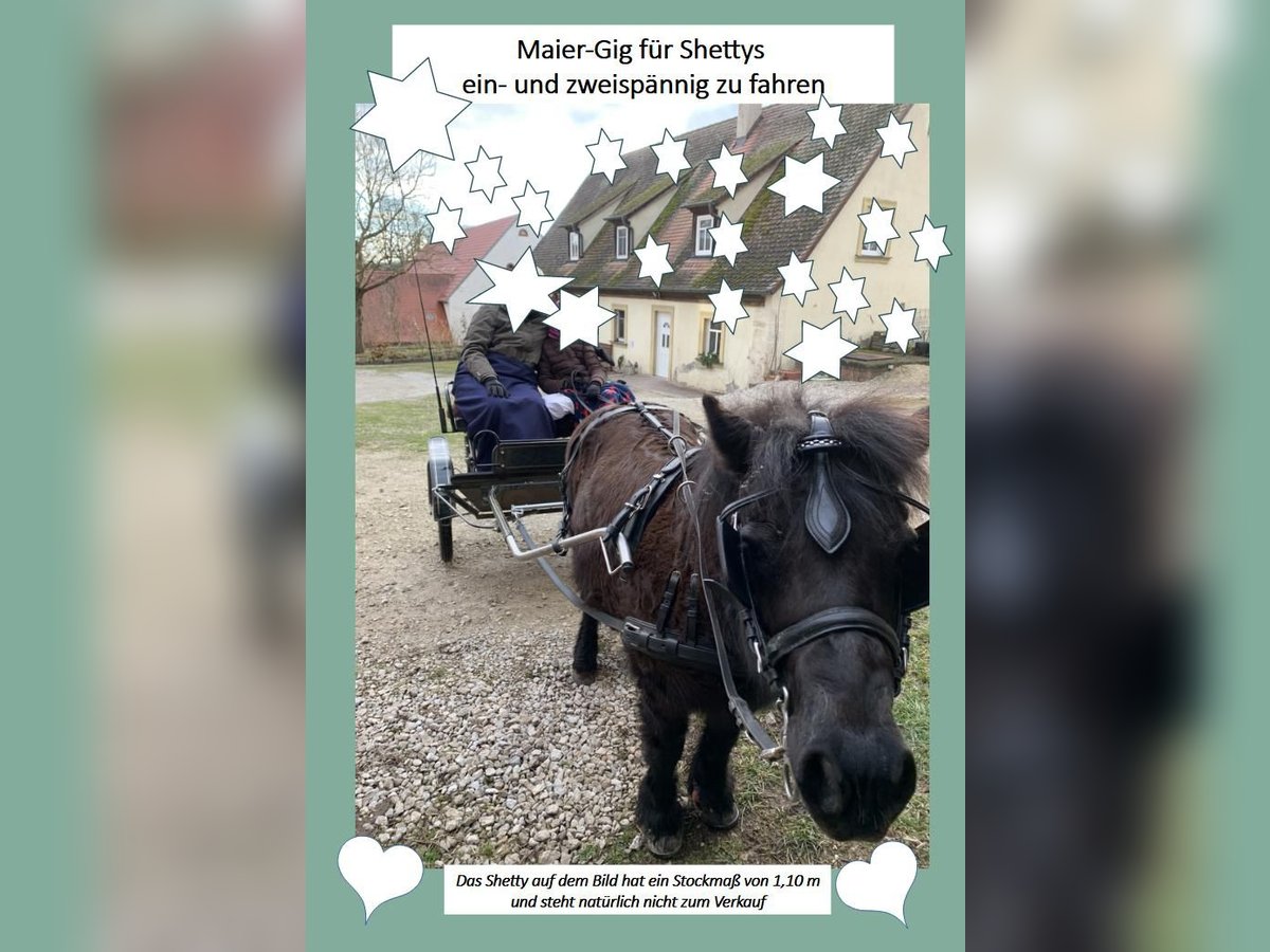 Gig Sulky Kutsche für Shetty 