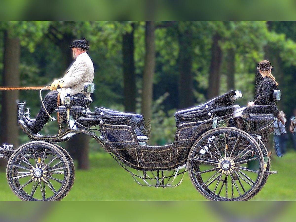 Hochzeitskutsche Vis a Vis