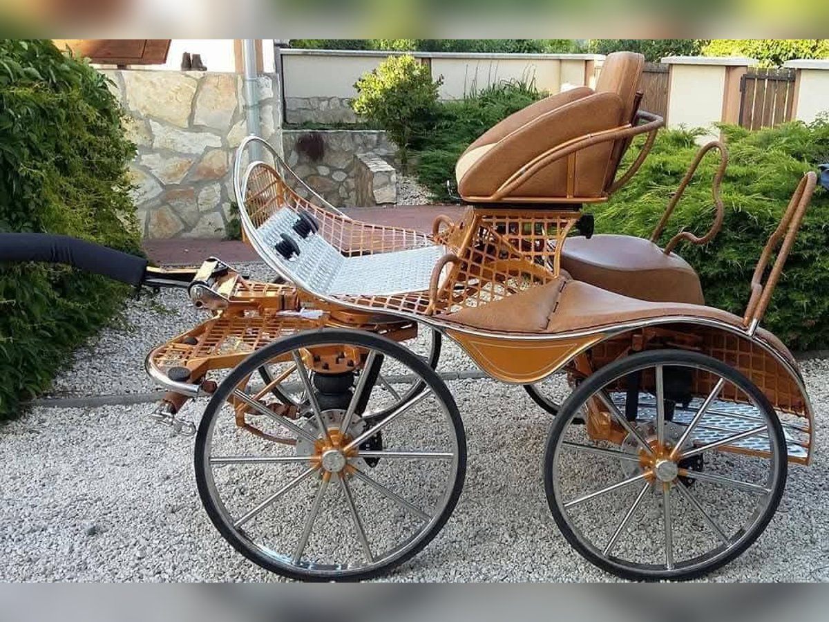 Dominiak marathon carriage for sale