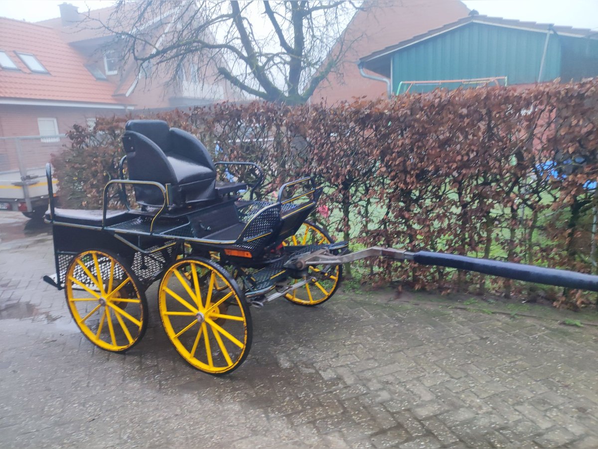 Stabiler Marathonwagen Kutsche für Endmaßpony 