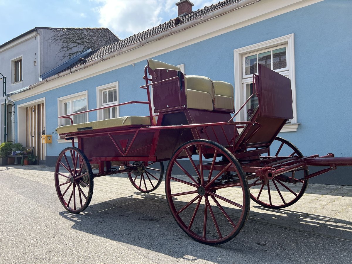 Wagonette / Kutsche Ein- und Zweispännig