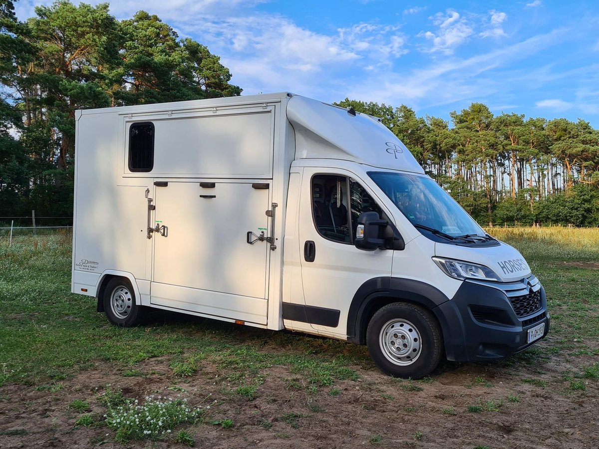 Dickenherr Pferdetransporter Hengstausstattung