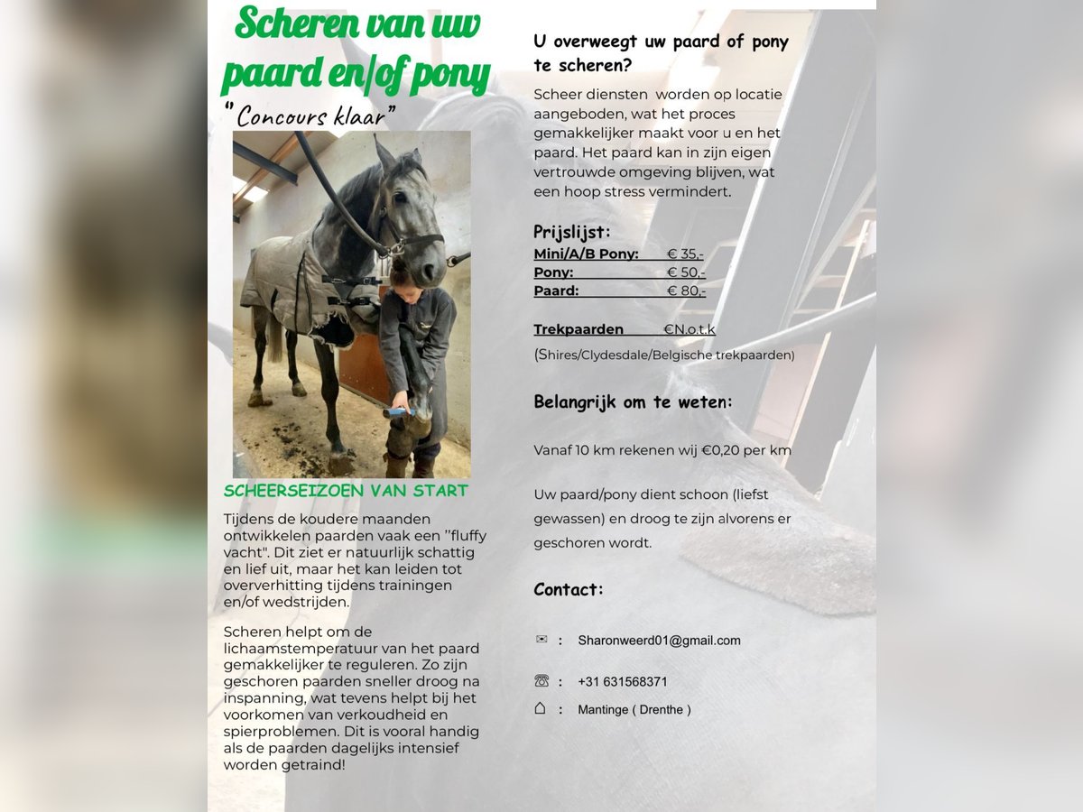 scheren van uw paard en of pony