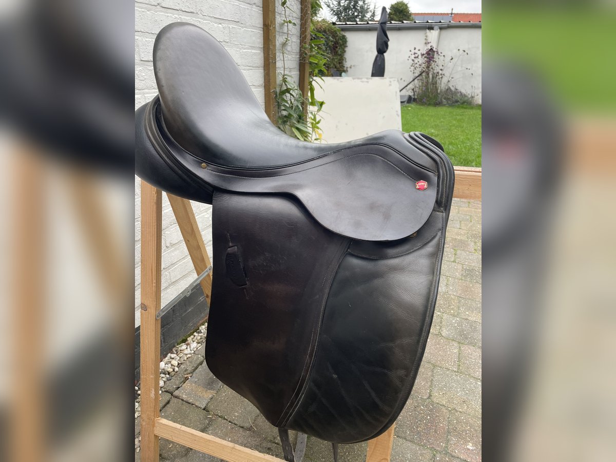 Albion zadel 17,5
